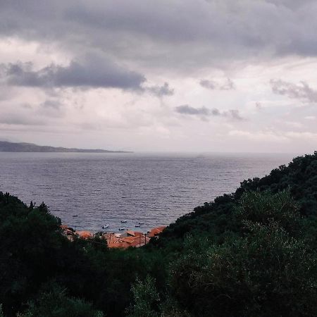 Kaminaki Seaview Apartments Katavolos ภายนอก รูปภาพ