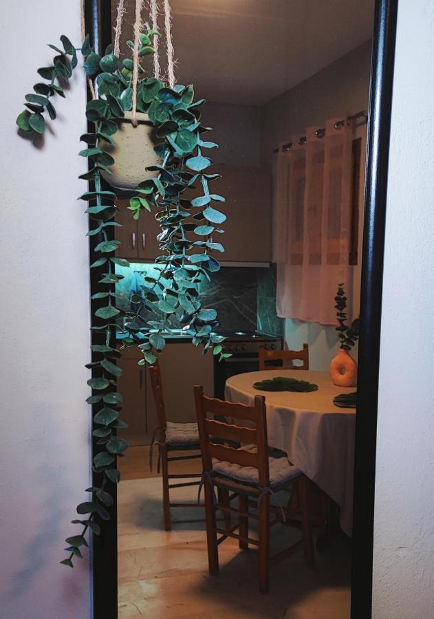 Kaminaki Seaview Apartments Katavolos ภายนอก รูปภาพ